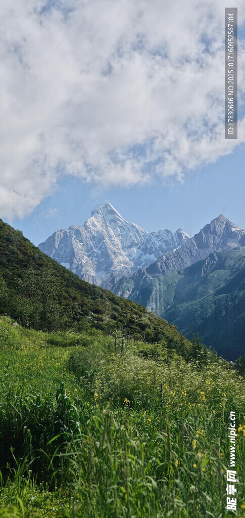 山间绿野中的壮丽雪山景色