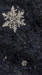 微距下的精致雪花