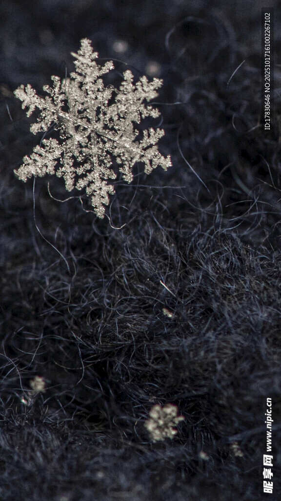微距下的精致雪花