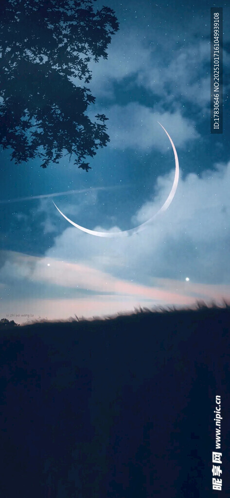 月夜下的树梢剪影