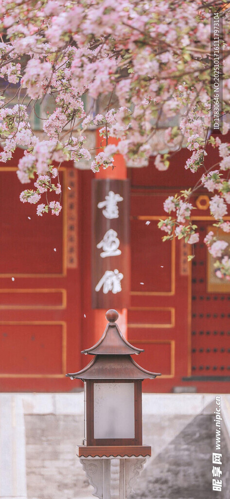 红墙下的繁花与中式灯笼