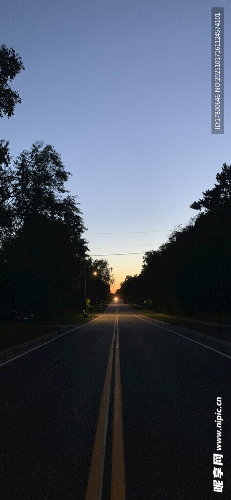 黄昏下的林间公路