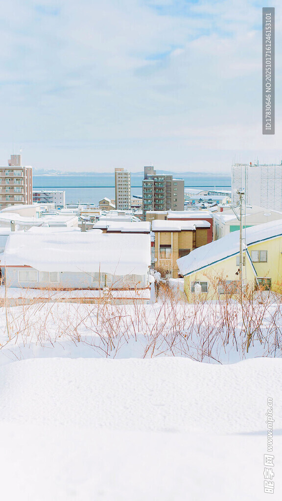 冬日雪景中的城镇景象