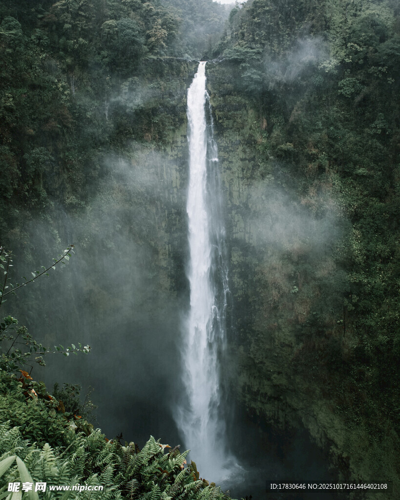 壮观雨林瀑布景观
