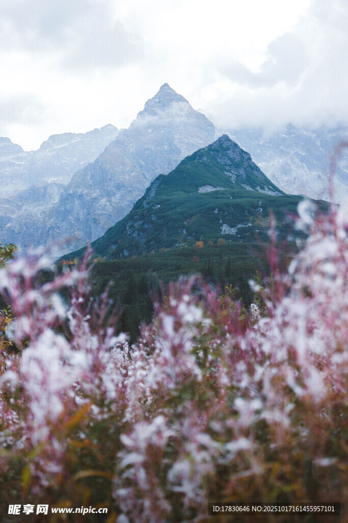山间繁花与远处巍峨山峦