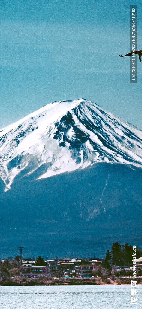 富士山雪景与飞鸟