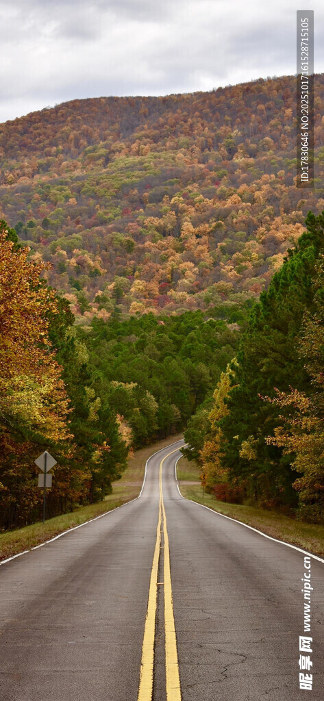 秋日林间公路美景