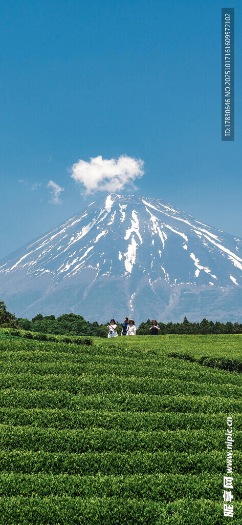 富士山下的翠绿田园风光