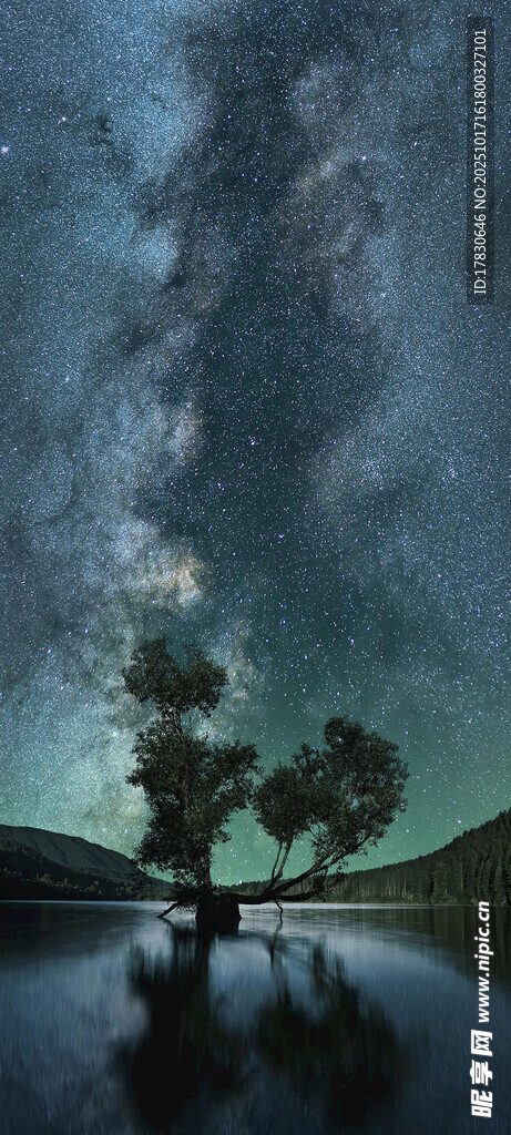夜空下的静谧树木倒影