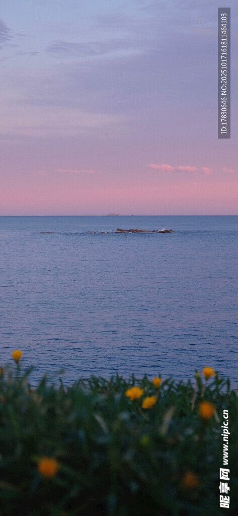 海边花丛日暮浪漫景致