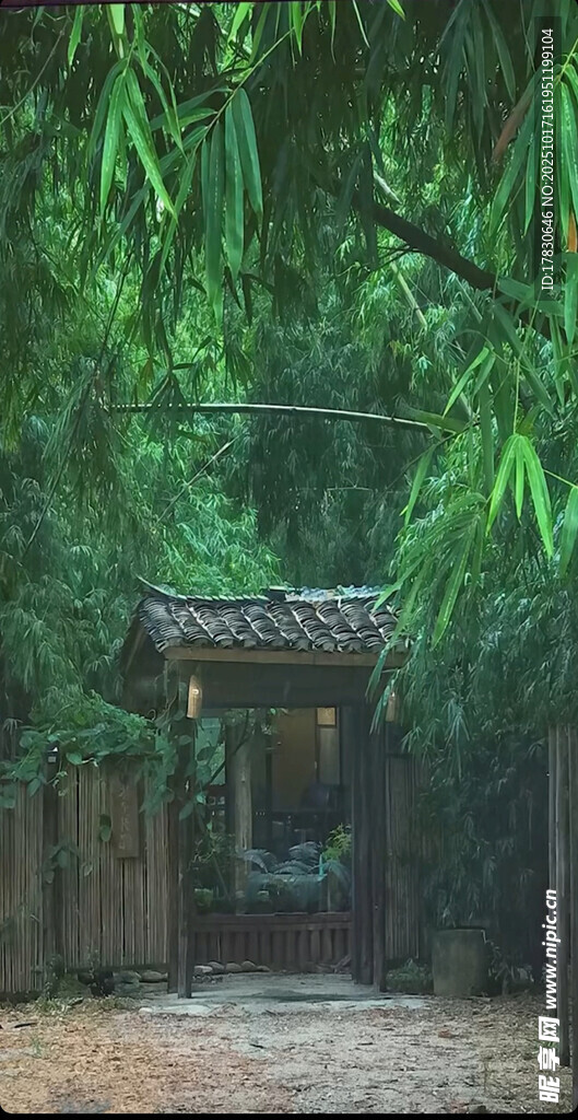 竹林掩映下的古朴小屋
