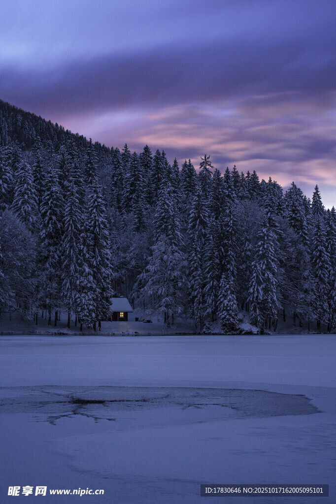 冬日雪林湖畔的静谧美景