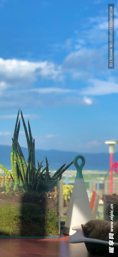 游乐园景观