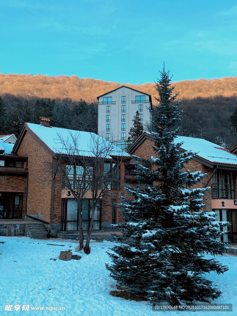 雪覆山间度假屋美景