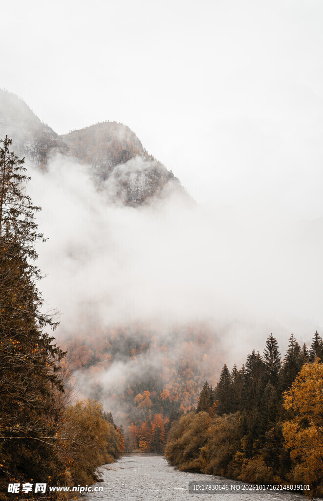 秋山林间云雾缭绕美景