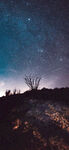 夜空下的孤树与璀璨星河