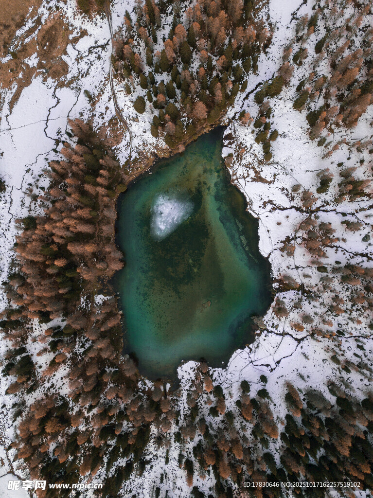 雪林环绕的碧绿湖泊