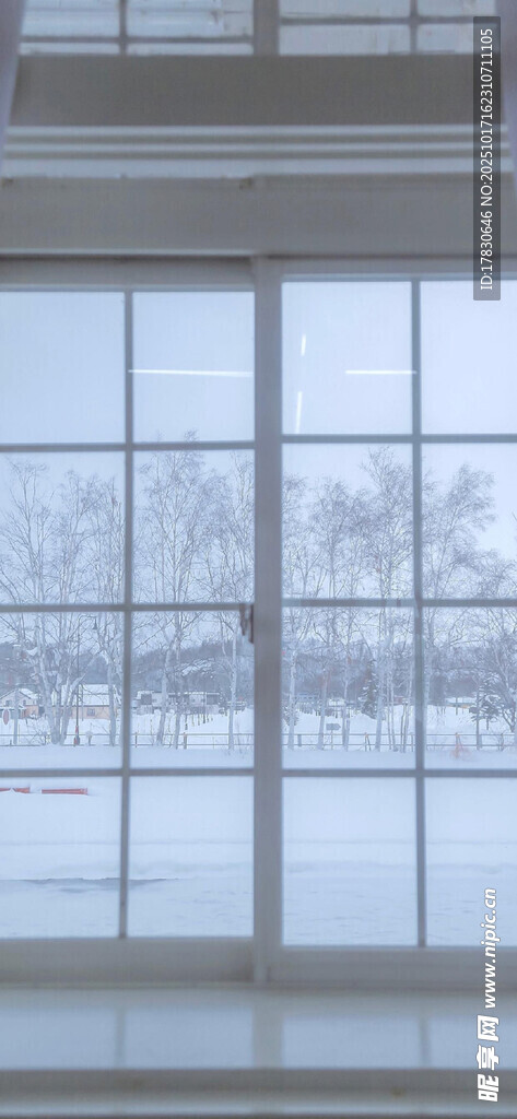 室内望窗外雪景