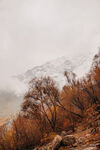 山间秋景雪覆远山