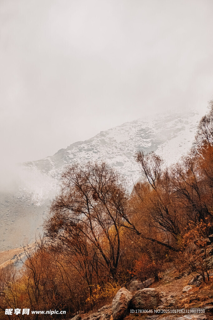 山间秋景雪覆远山