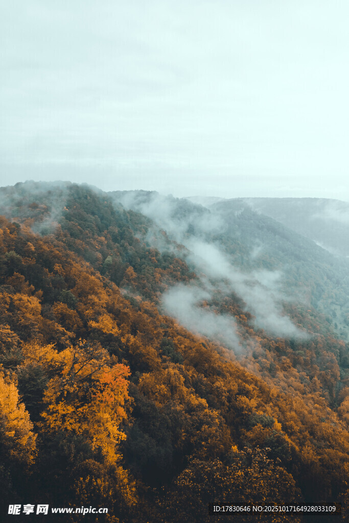 秋山林间云雾缭绕美景