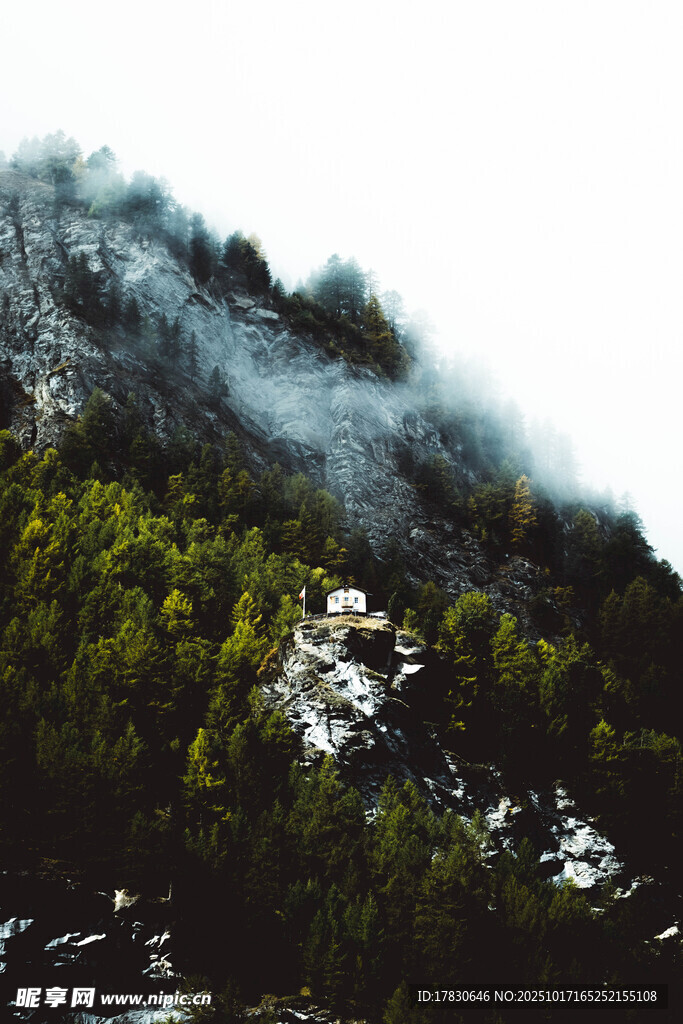 云雾缭绕的山林景观