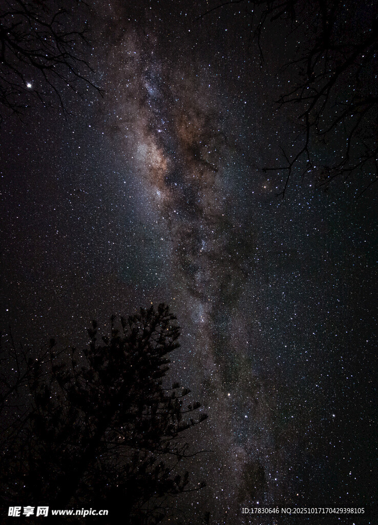 夜空下的璀璨星河