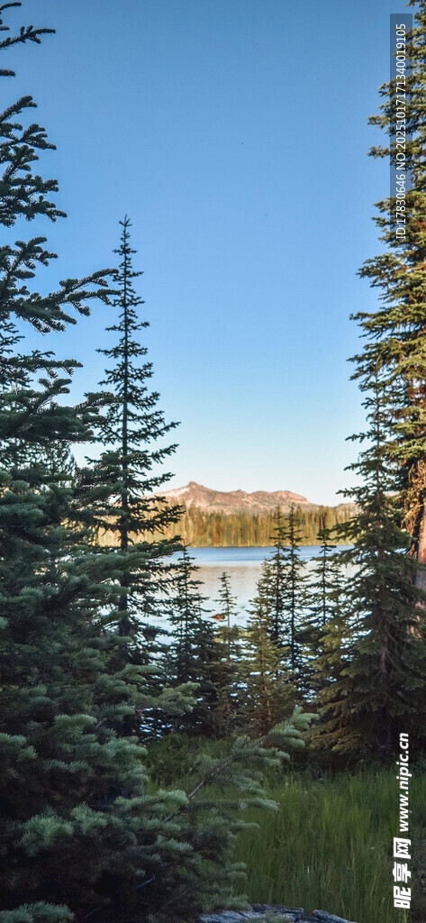 森林湖畔美景
