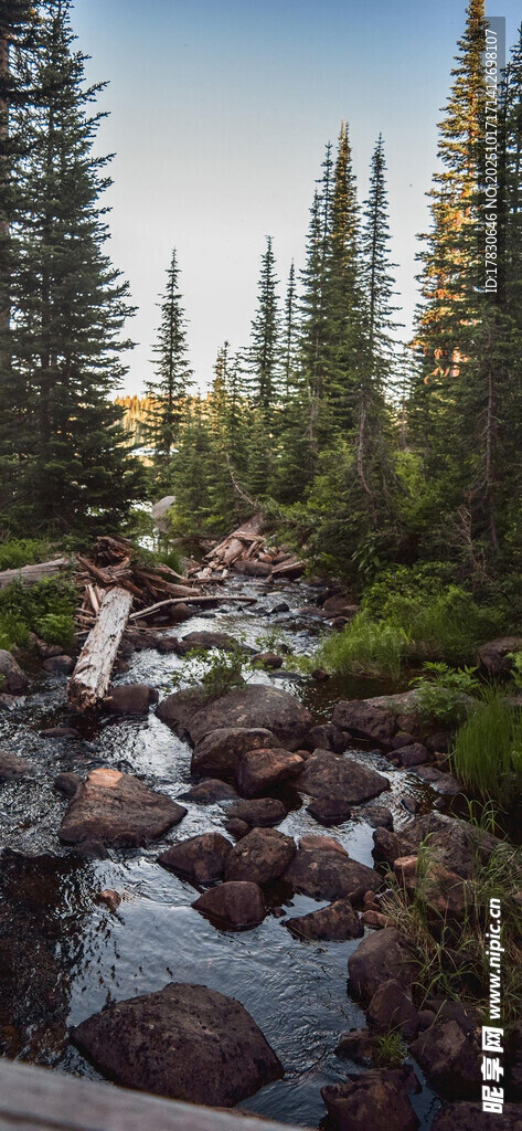 山间溪流旁的自然景致