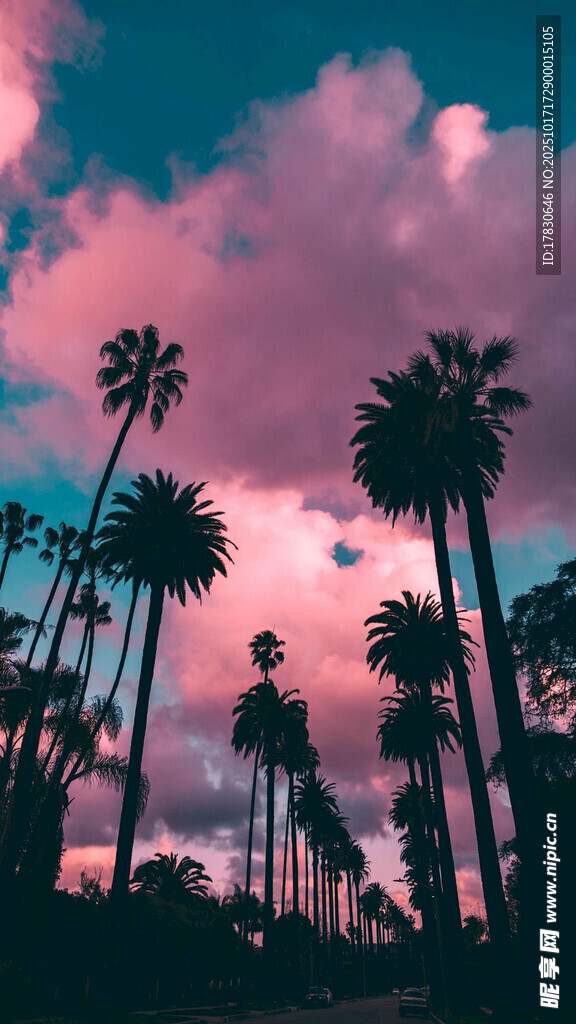 夕阳下的棕榈树剪影