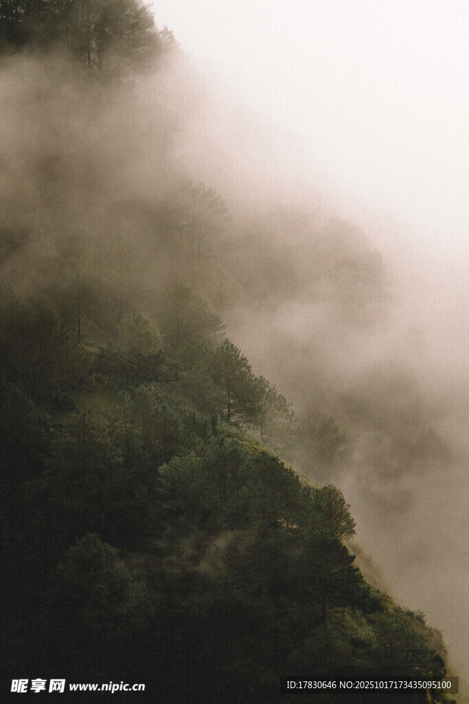山间云雾缭绕的葱郁景致