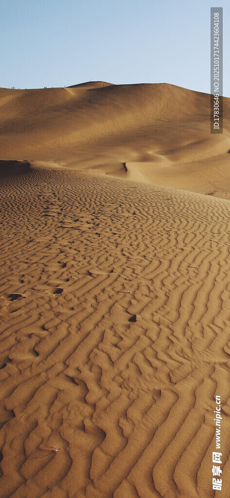 广袤沙漠景观