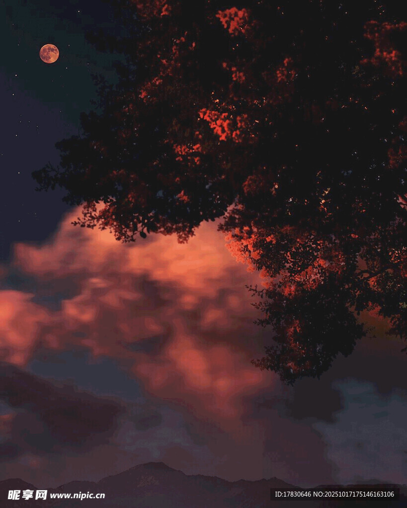 月夜下的绚烂云霞与树影