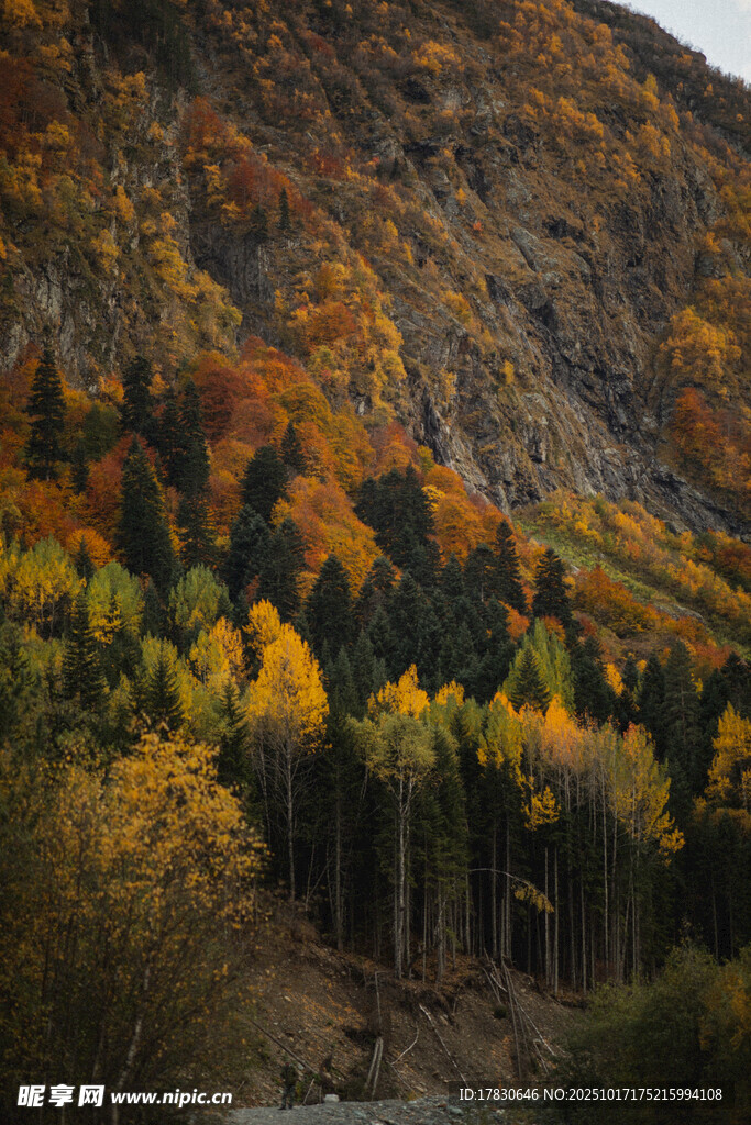 秋日山林斑斓美景