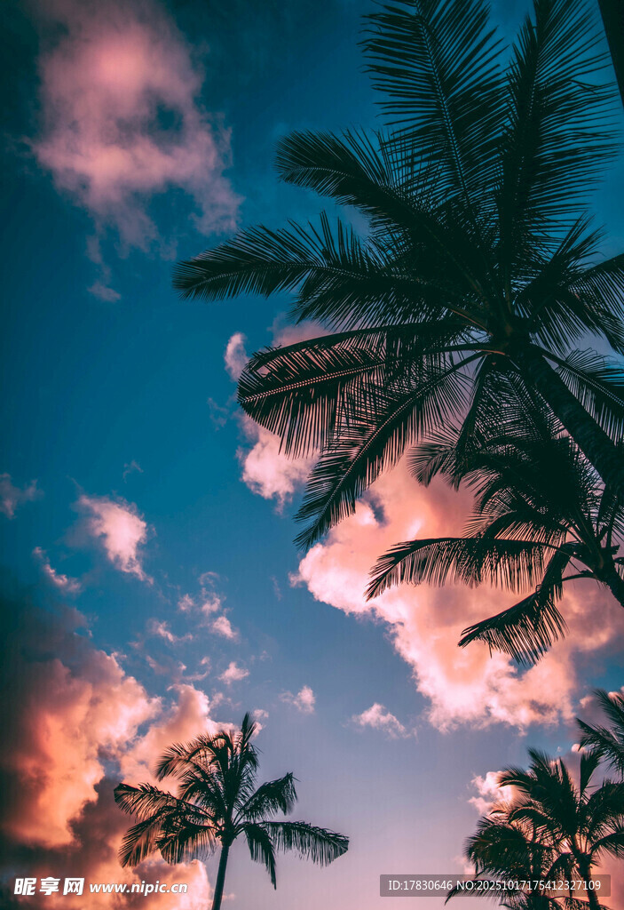 夕阳下的椰树与梦幻天空