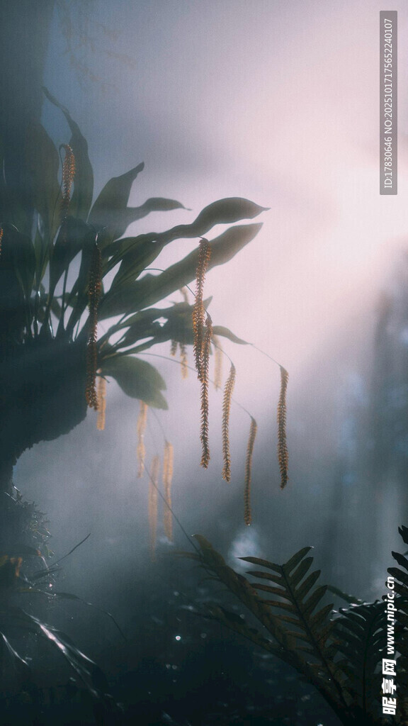 梦幻雨林中的神秘植物景观