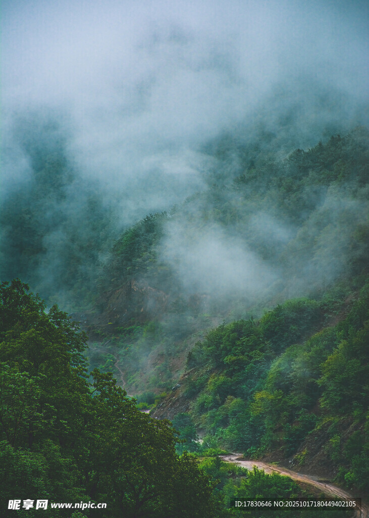 云雾缭绕的山间蜿蜒小路