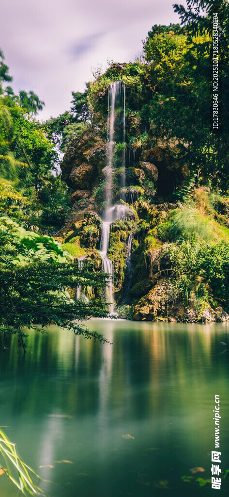 静谧森林中的清幽湖水