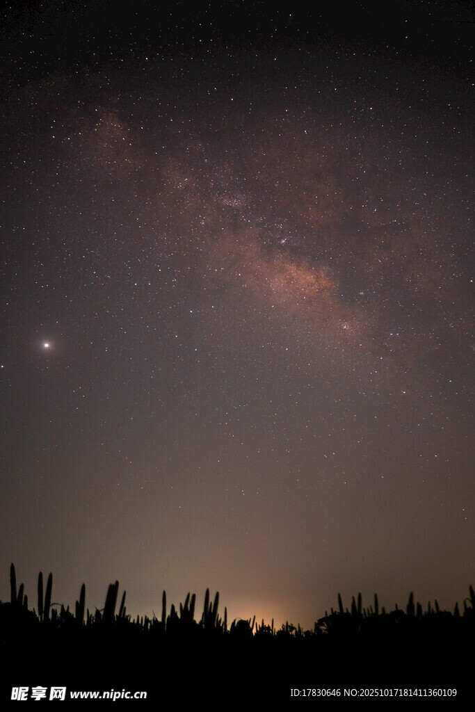 夜幕下的星空与仙人掌剪影