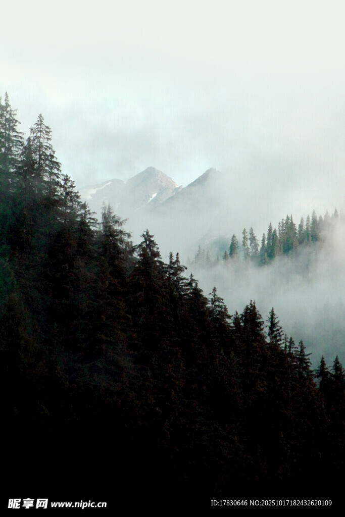 山林云雾间的静谧景致