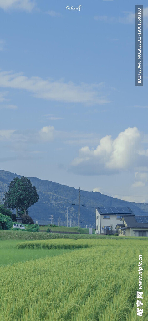 田园风光中的静谧小屋