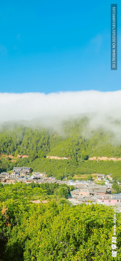 青山绿树间的美丽景致