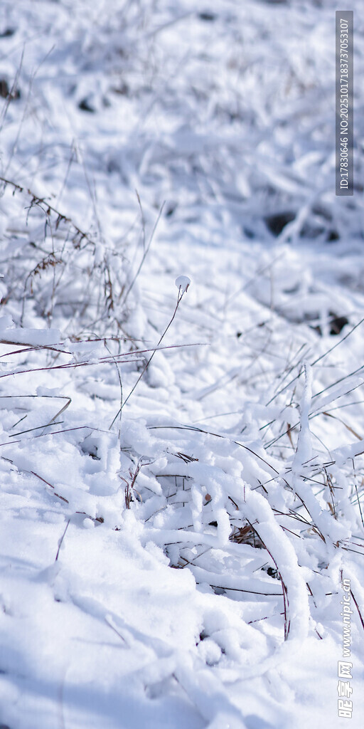 冬日覆雪的冰凌景观