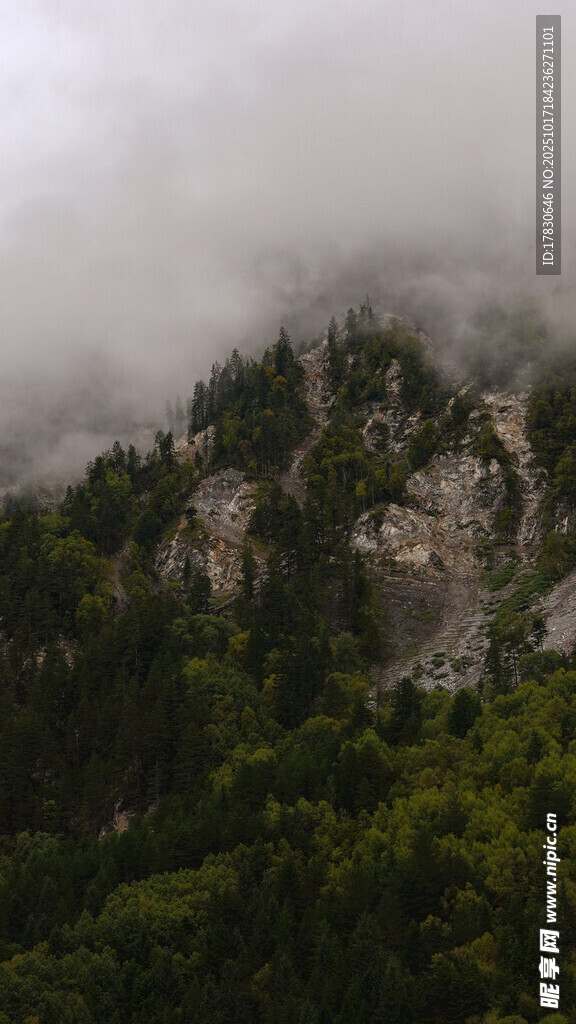 云雾缭绕的山林美景