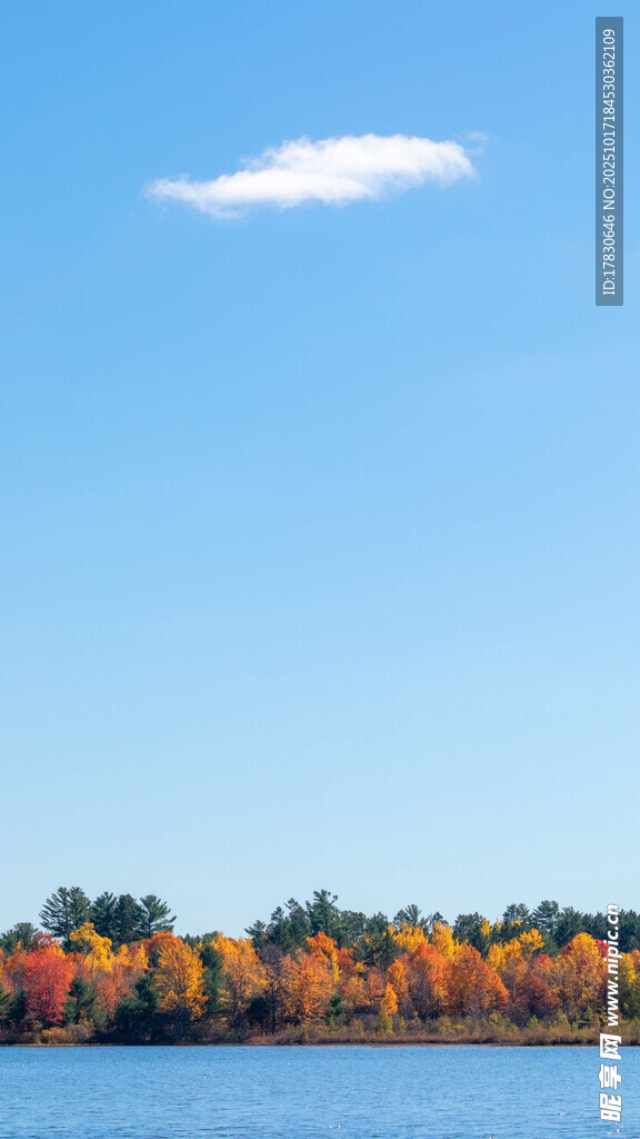 湖畔秋景多彩树林映蓝天
