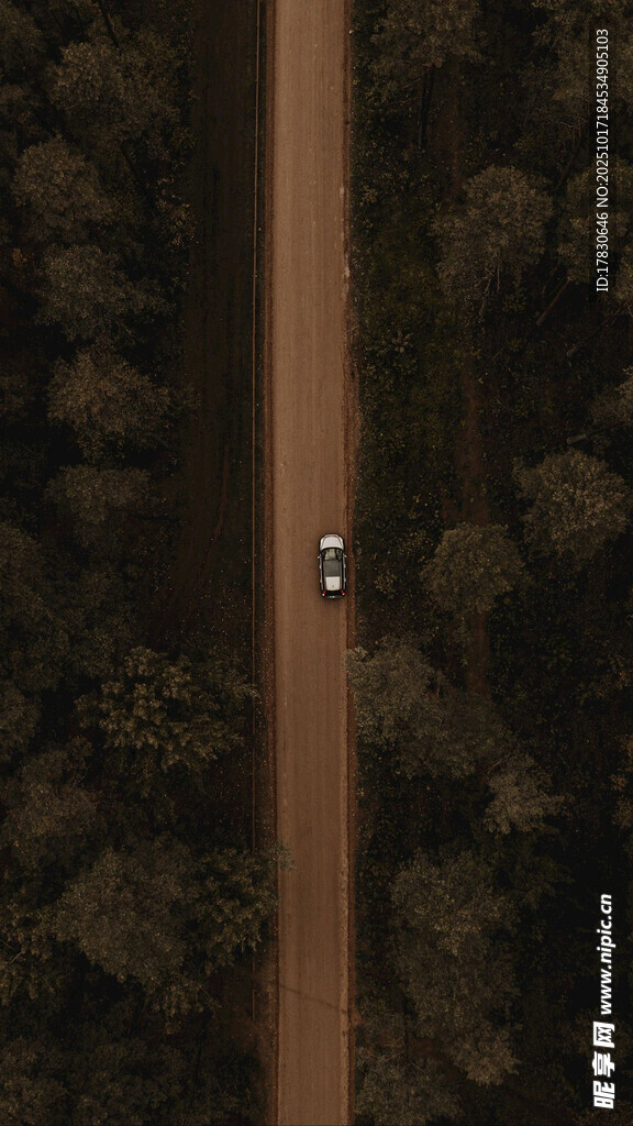 林间公路上行驶的汽车