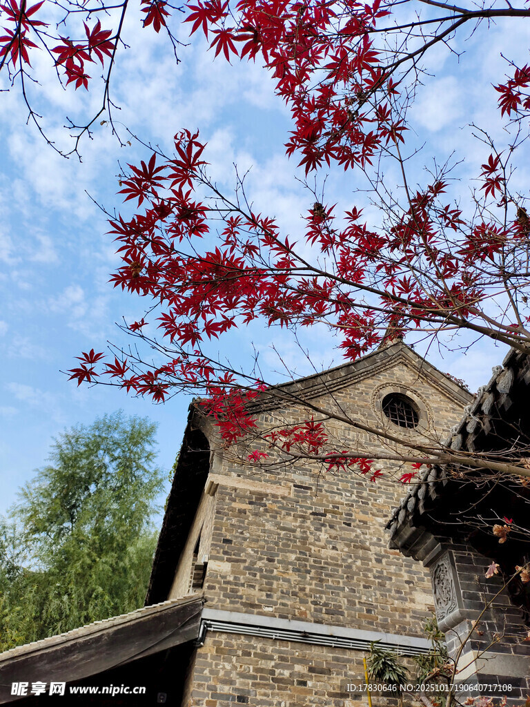 古建旁的红枫与蓝天