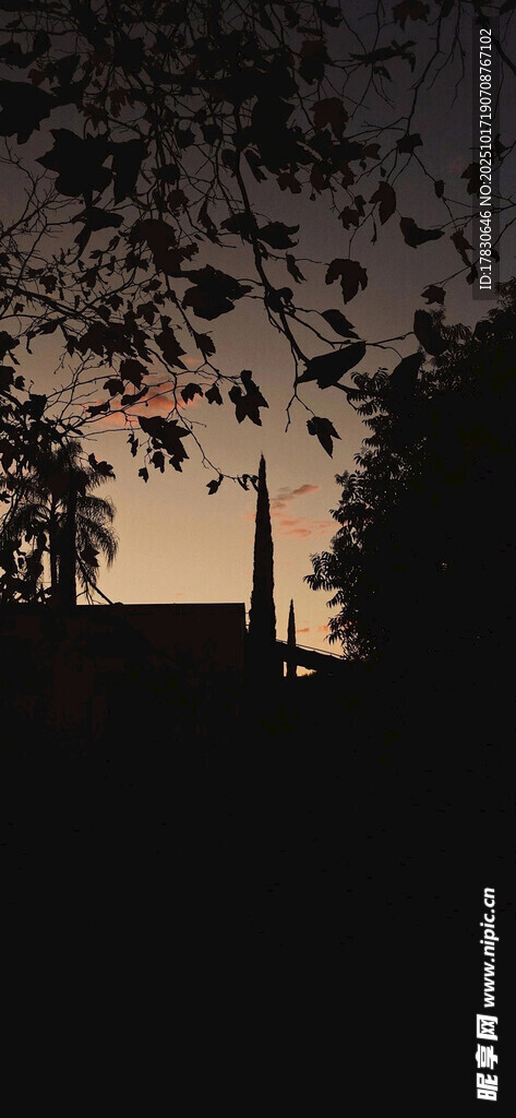 夕阳下的建筑与树木剪影