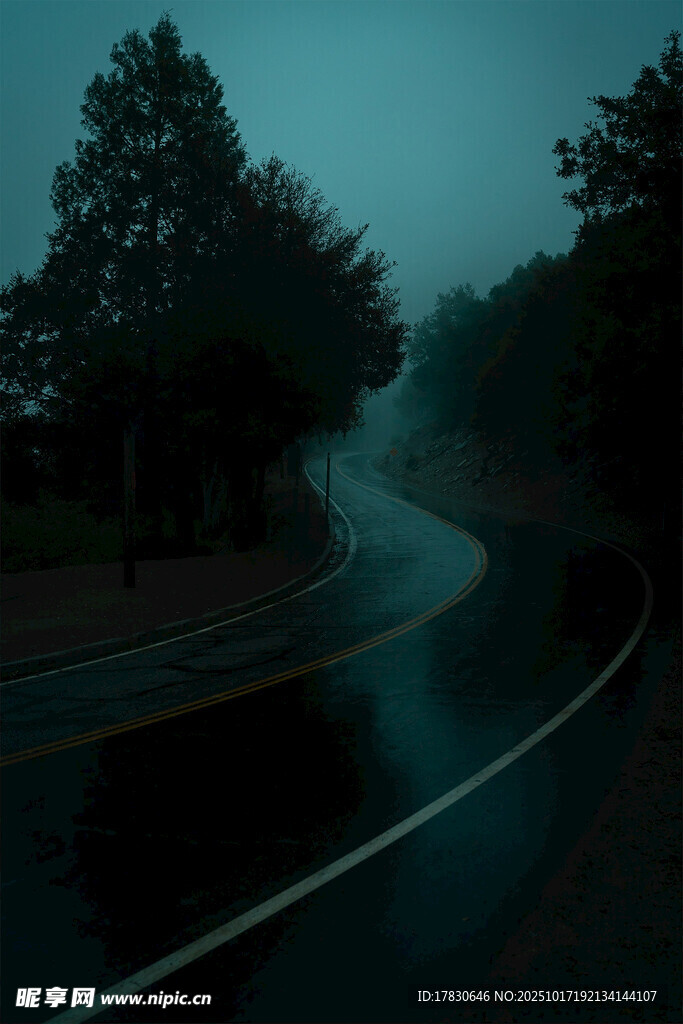 雾中湿路静谧自然景象