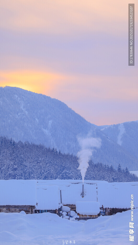 冬日雪野中的静谧场景